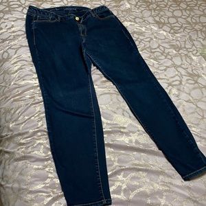 Lane Bryant Blue Skinny Genius Fit  Jeans